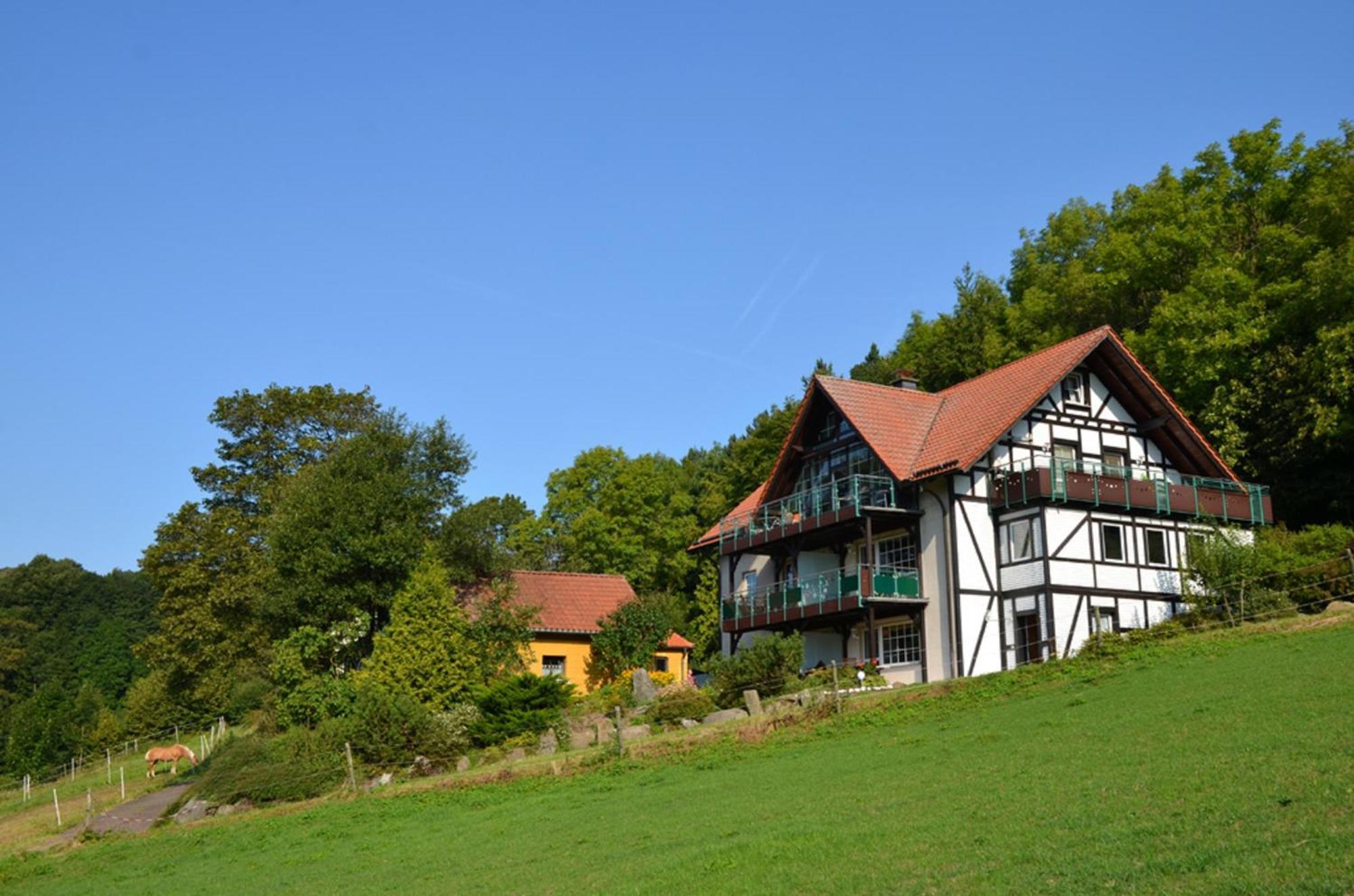 Апартаменты Ferienhaus Abtsroda Экстерьер фото